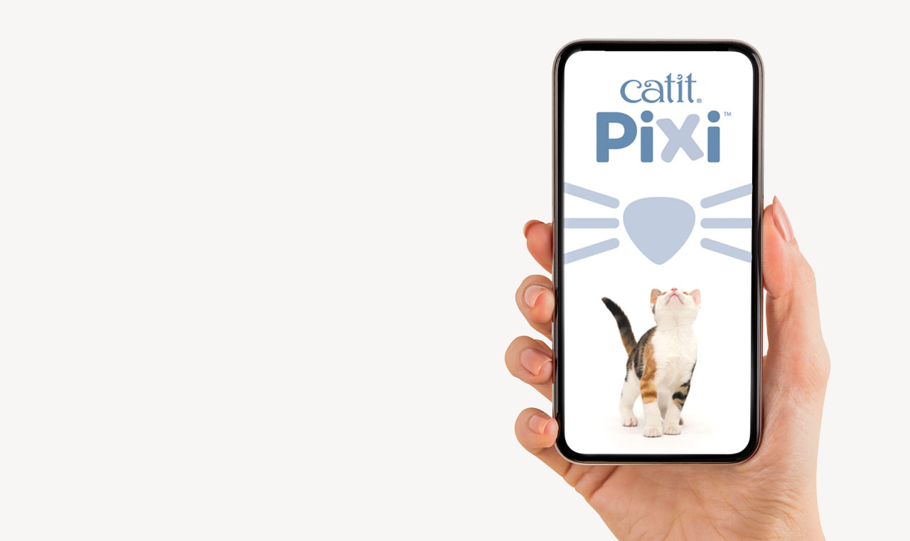 Hand holding phone with pixi logo and cat on screen