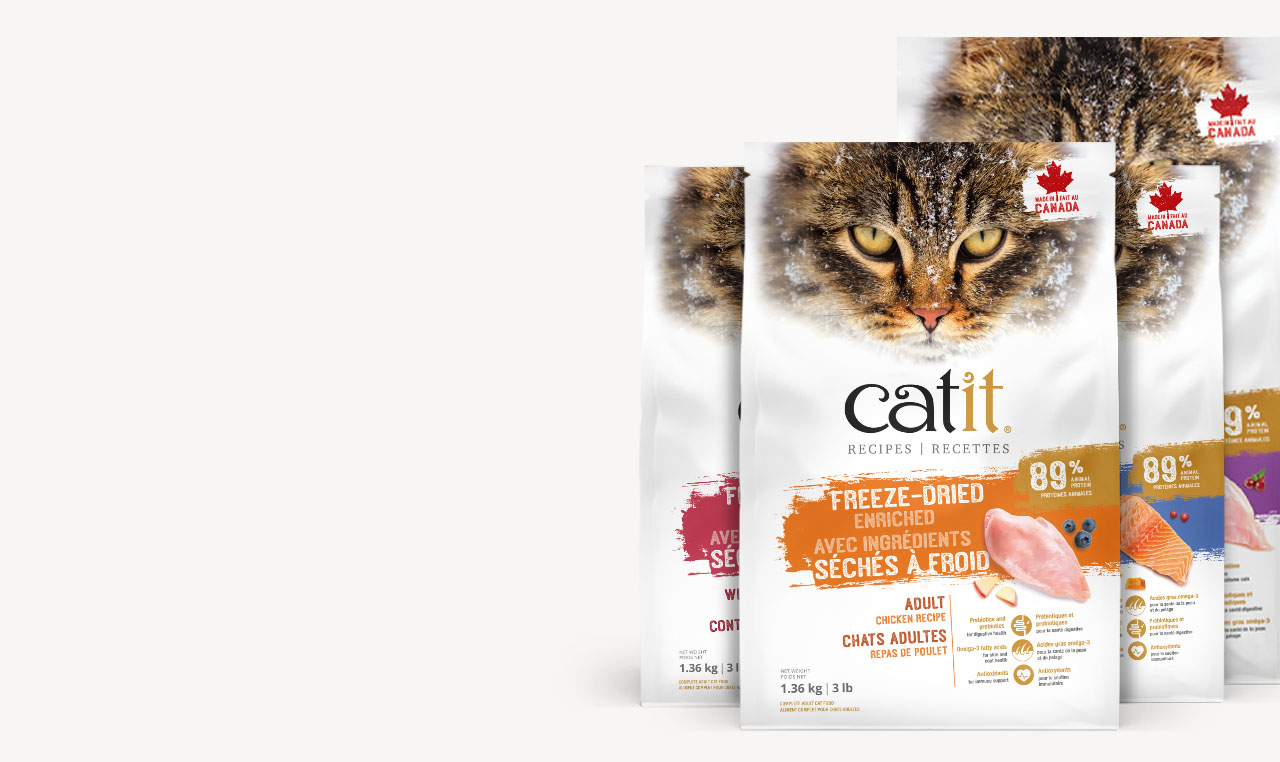 Three bags of Catit freeze-dried cat food featuring chicken, salmon, and other recipes