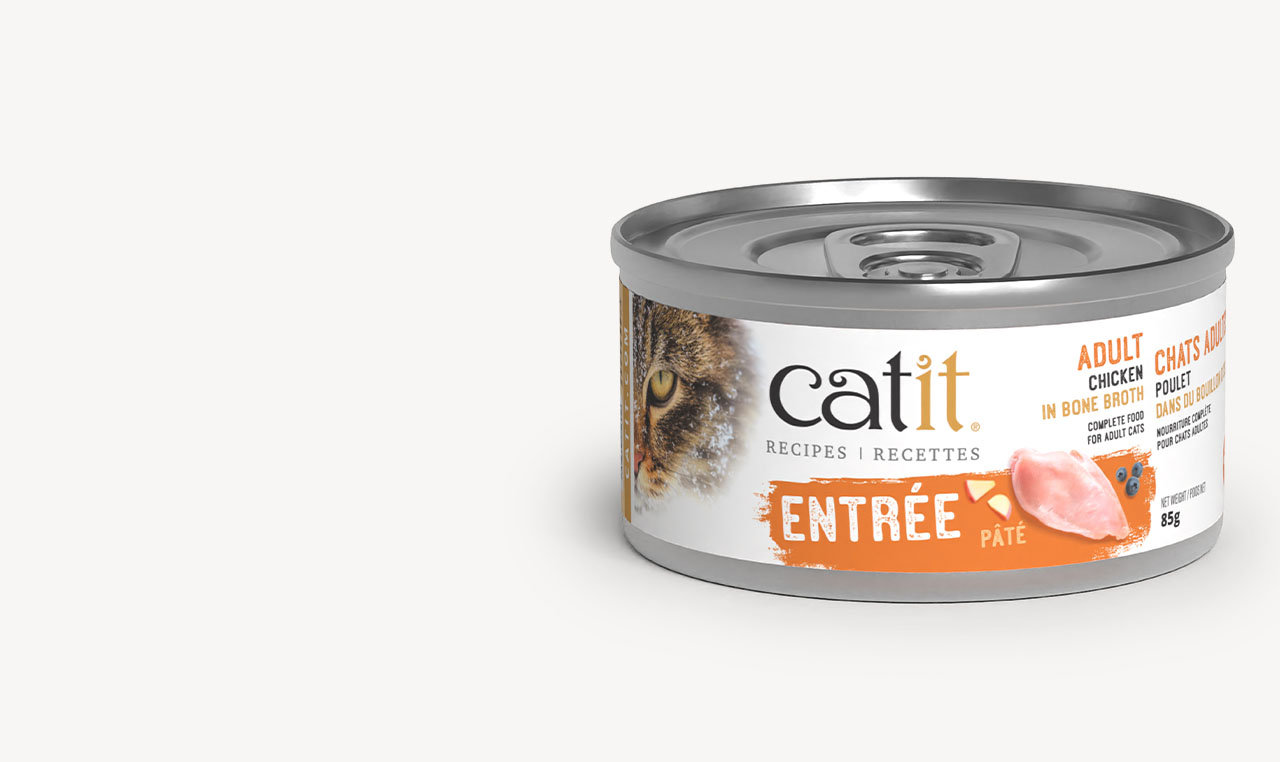 Catit Recipes Entrée Adult can