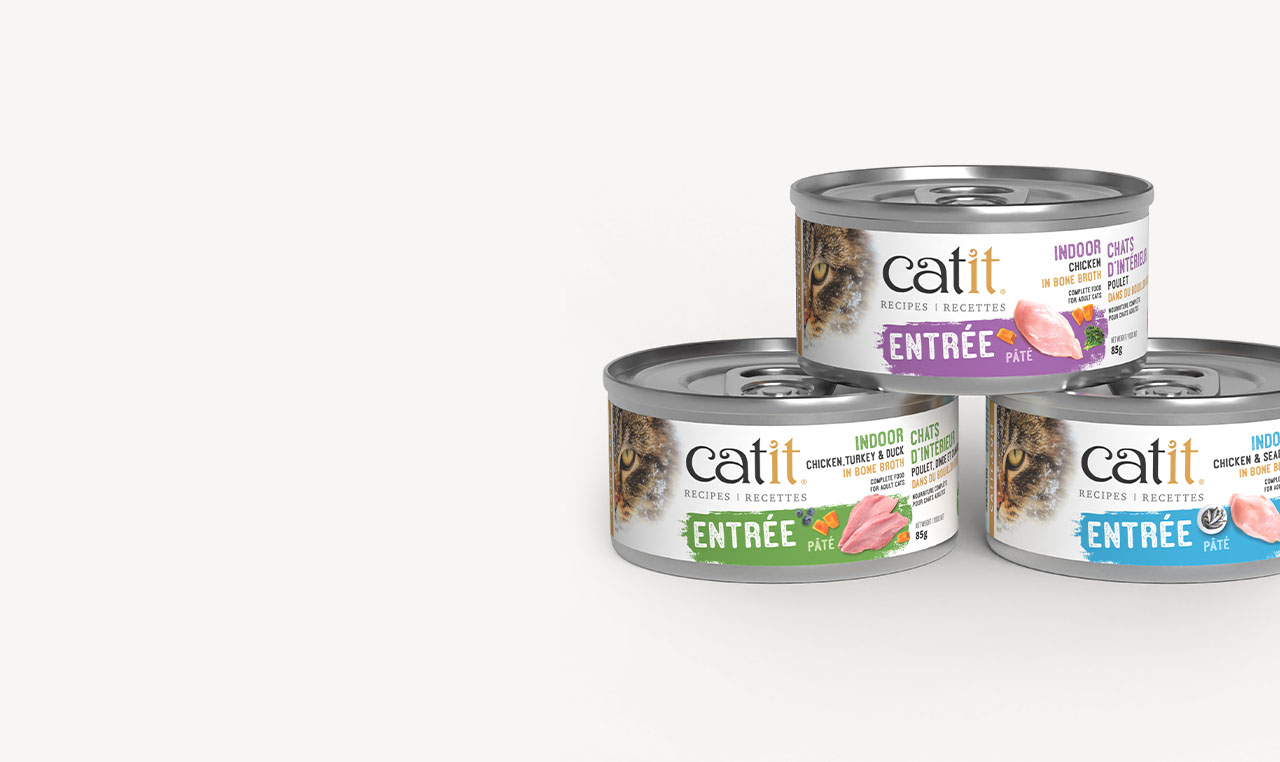 3 Catit recipes entrée indoor