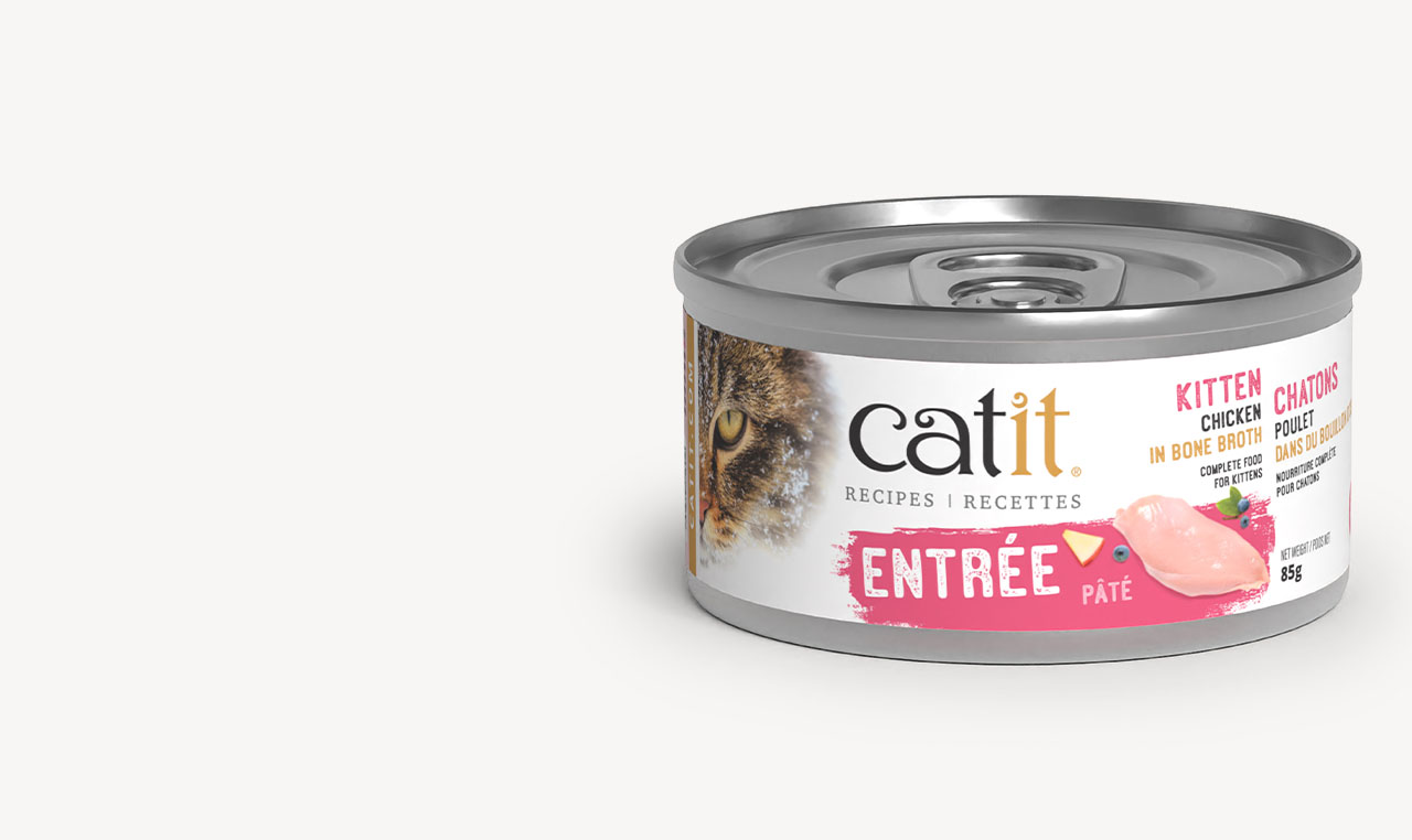 Catit Recipes Entrée Kitten can