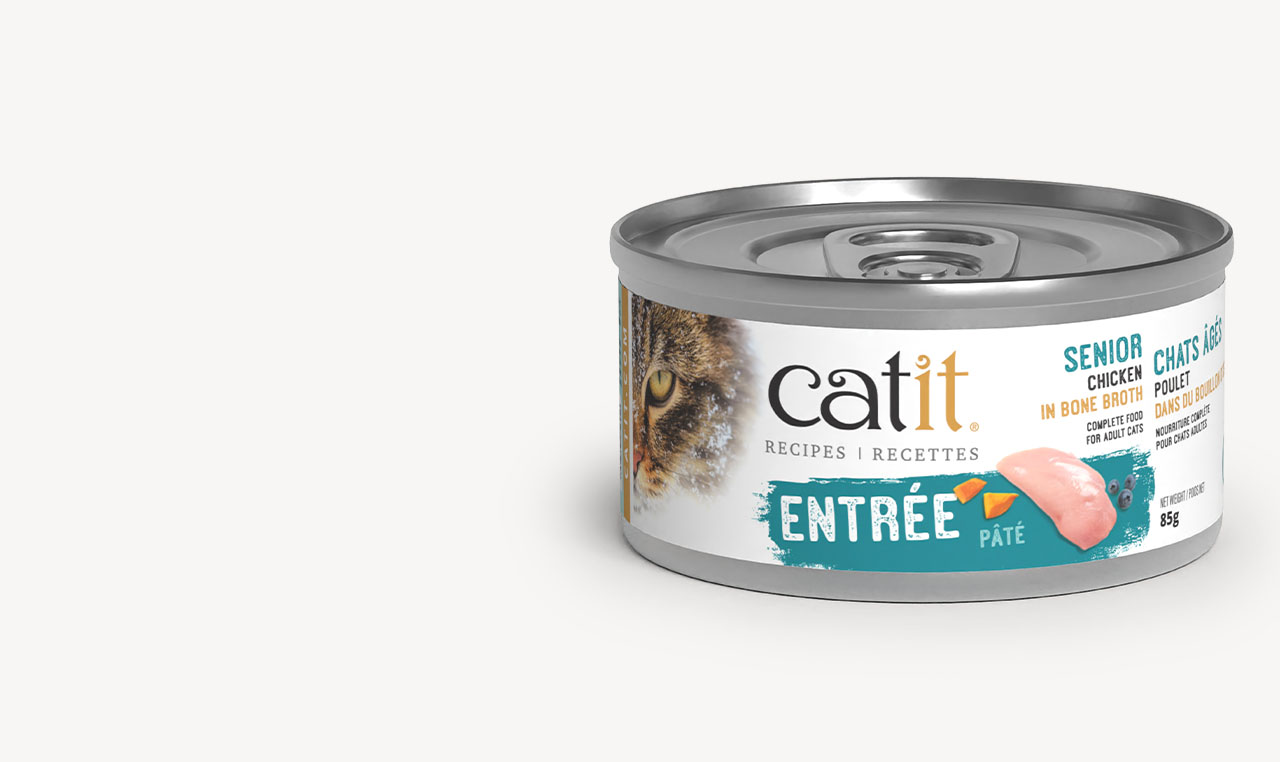 Catit Recipes Entrée Senior can