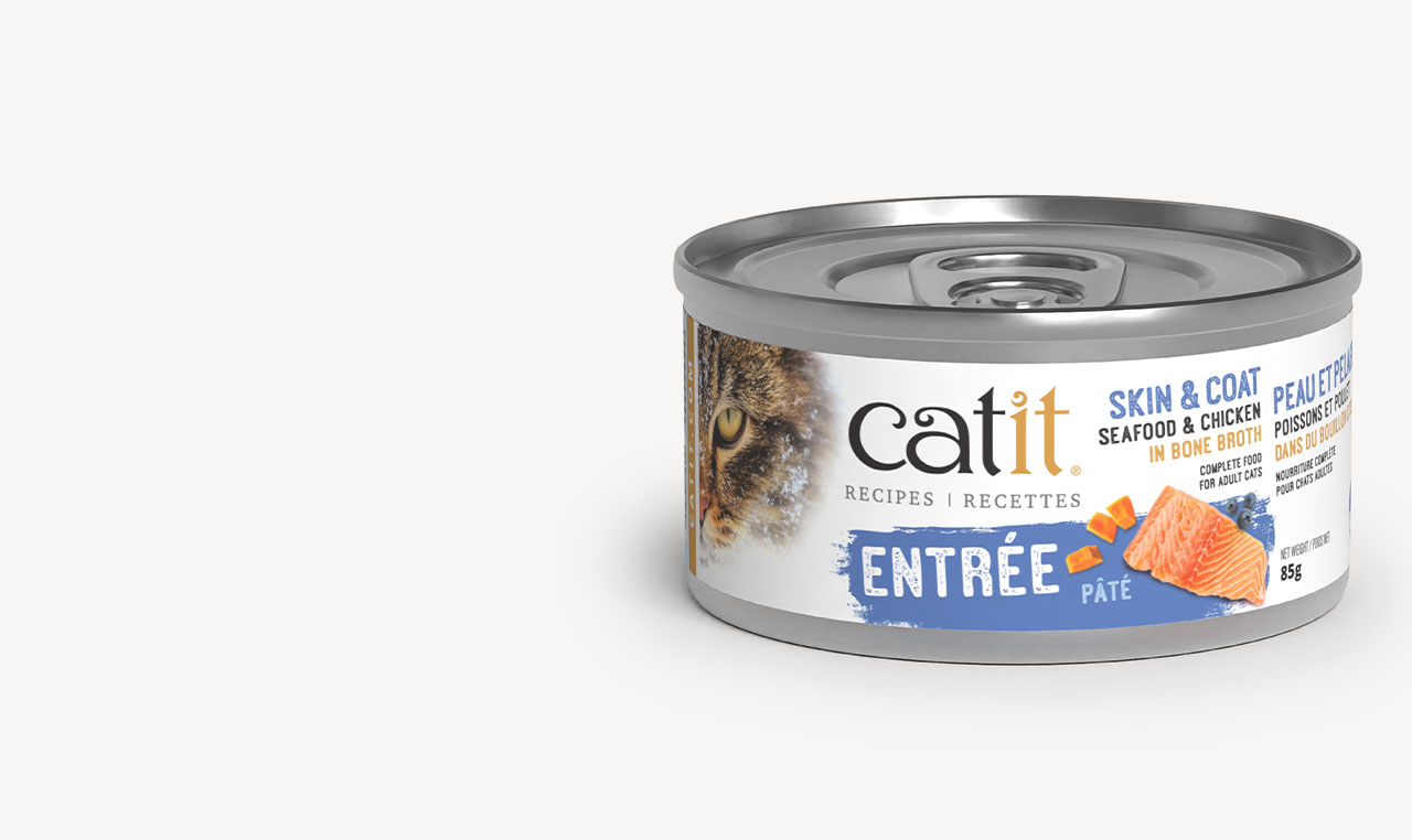 Catit Recipes Entrée Skin & Coat can