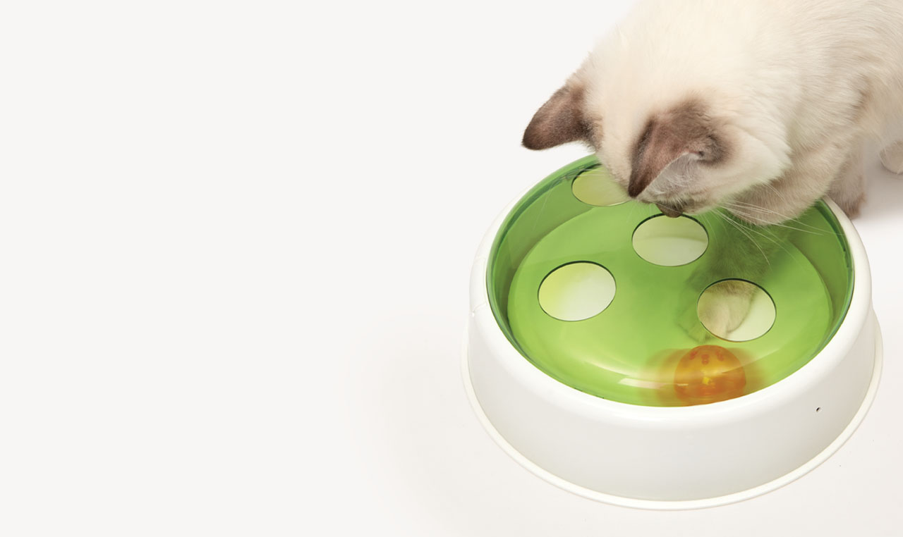 A light-colored cat playing with a Catit Senses ball dome toy on a white background