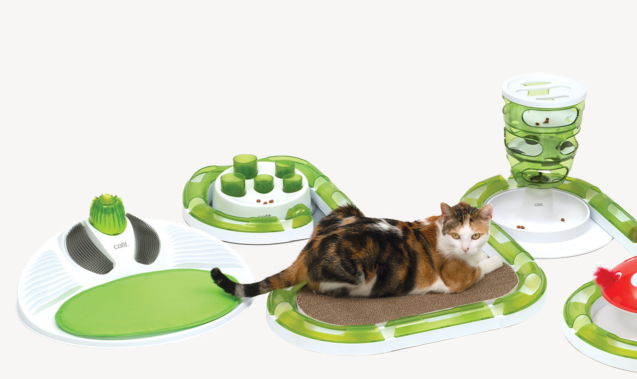 A calico cat resting on a Catit Senses play circuit surrounded by various interactive cat toys and feeders