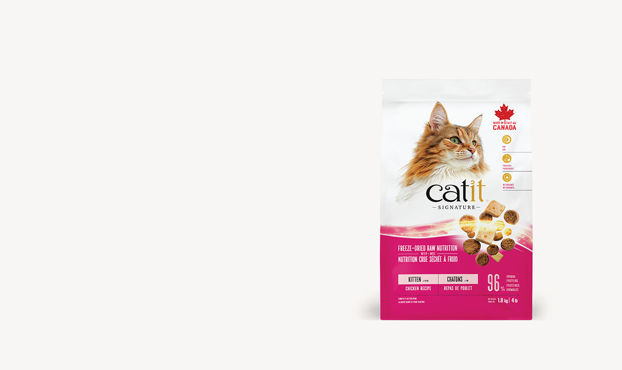 kitten dry cat food in 1.8kg size