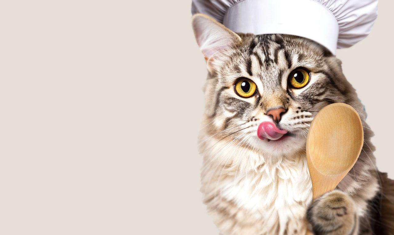 Cartoon cat with chef hat and wooden spoon