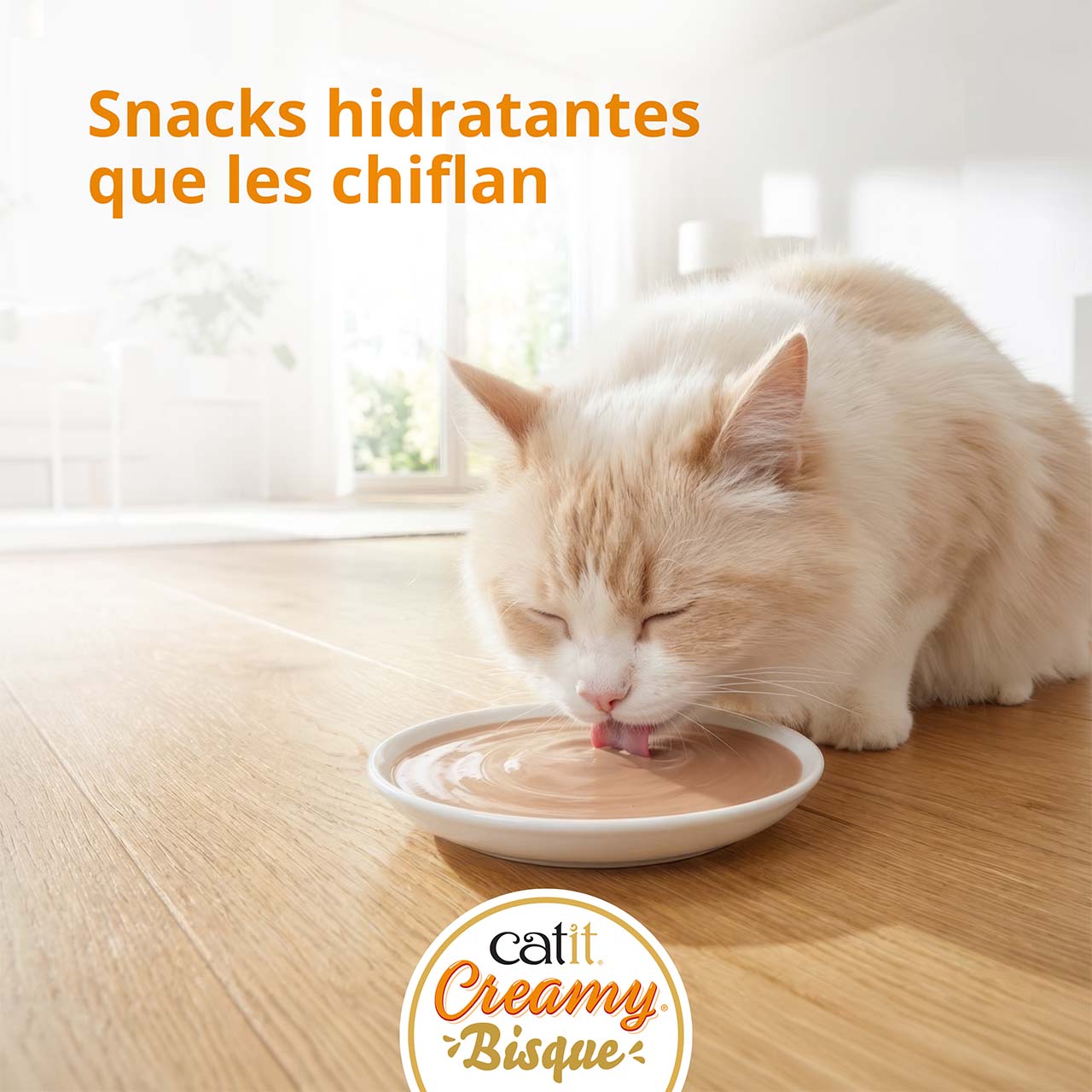 Un gato lamiendo Creamy Bisque de un plato que está en el suelo de madera. Con el texto: Snacks hidratantes que vuelven locos a los gatos