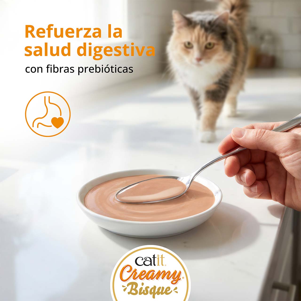 Un gato caminando hacia el Creamy Bisque que hay en un plato sobre la encimera, mientras una mano lo sirve con una cuchara