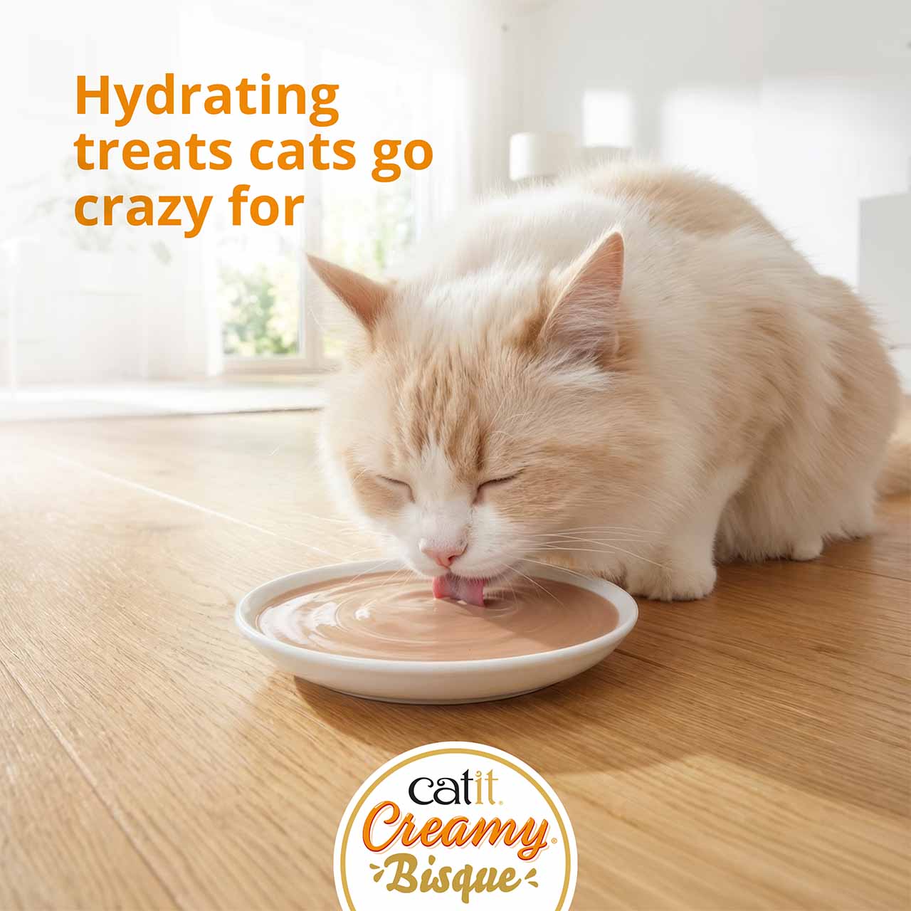 Cat licking Creamy Bisque from plate on wooden floor. With text: Hydrating treats cats go crazy for