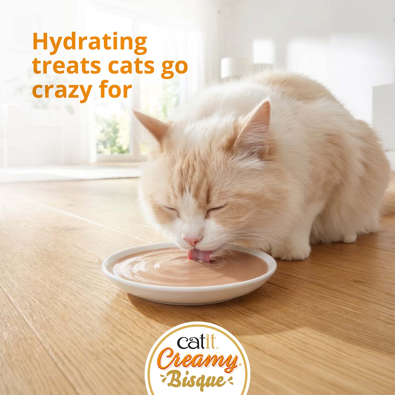 Cat licking Creamy Bisque from plate on wooden floor. With text: Hydrating treats cats go crazy for