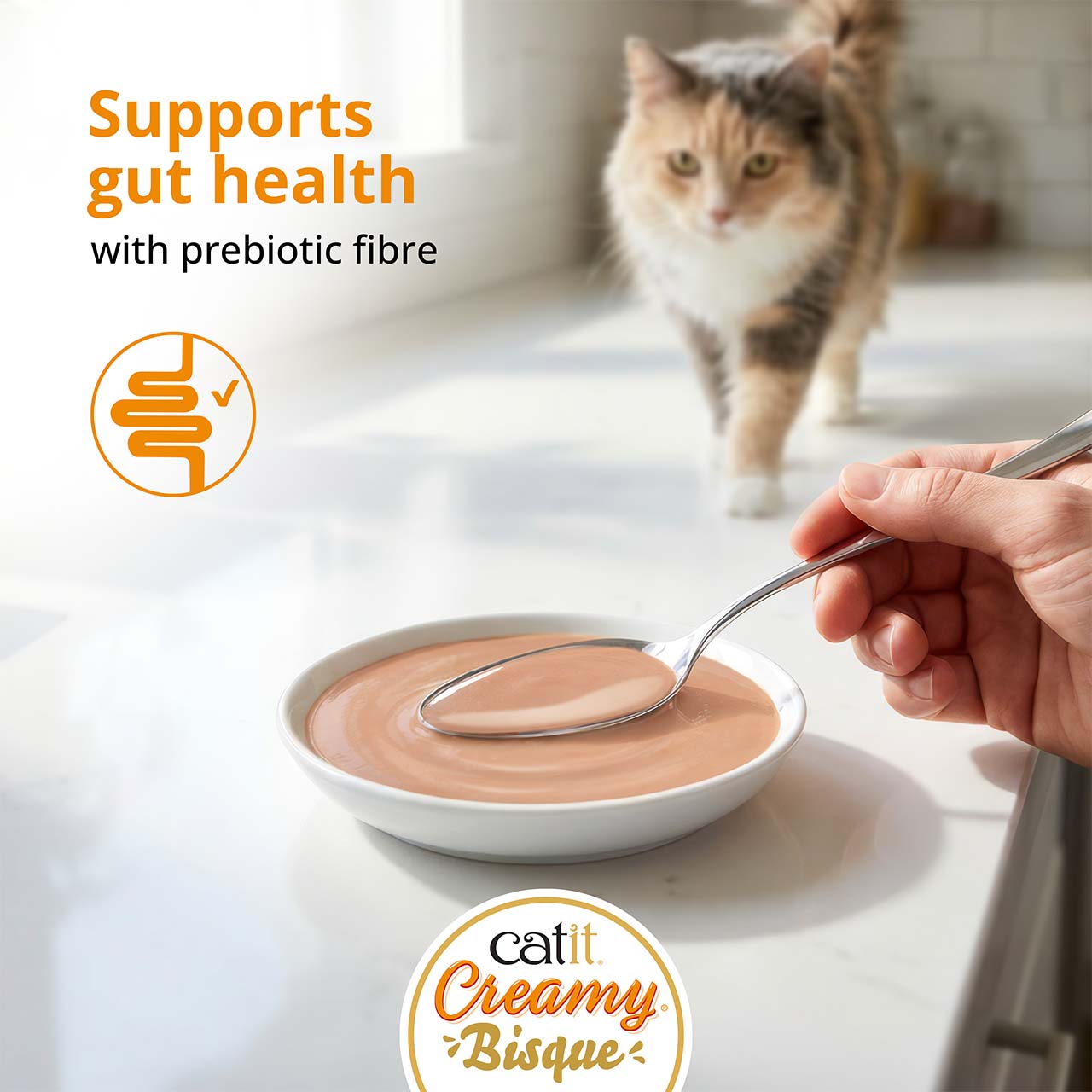Cat walking towards creamy bisque in plate on countertop with hand filling the plate with a spoon