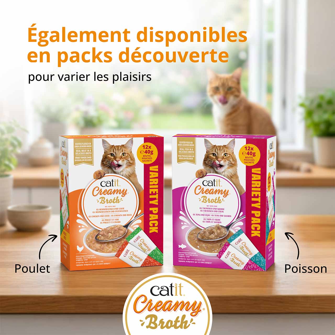 Les packs découverte sont également disponibles, avec deux packs découverte présentés dans une cuisine