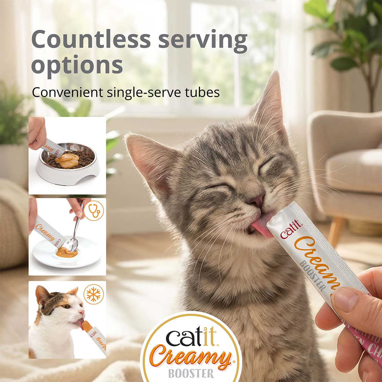 Small grey kitten eating Catit Creamy Booster kitten on carpet in living room