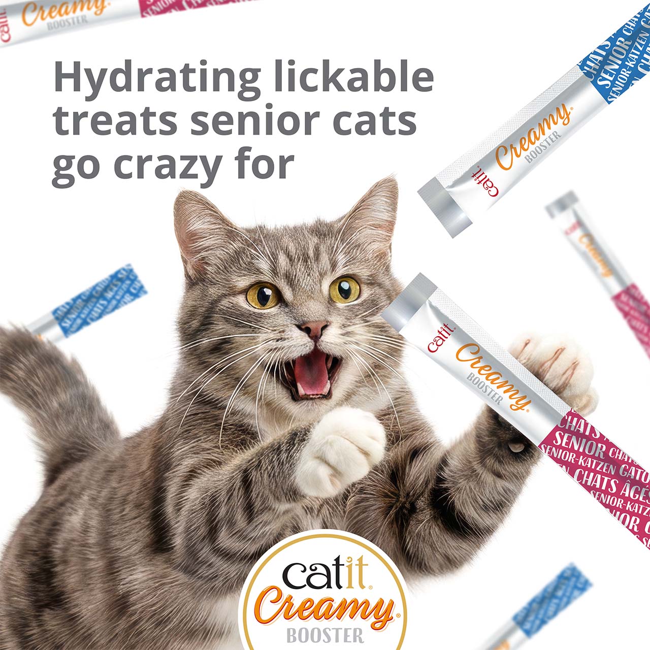 Catit Creamy Booster hydrating lickable treat for senior cats, shown with a cat and product packaging