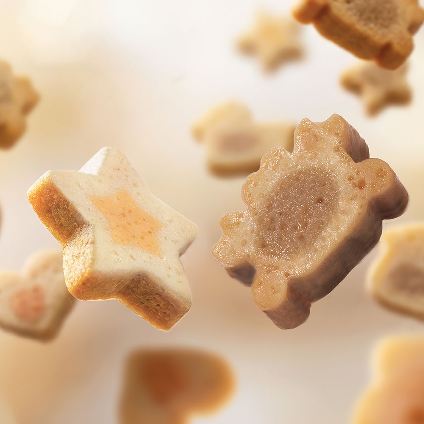 flying bitz treats with star and crab shape in front