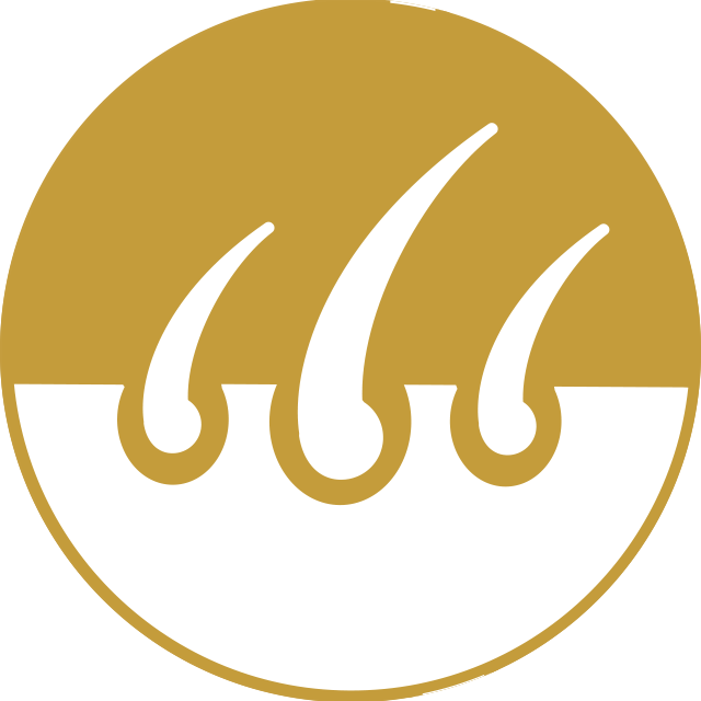 Gold circle icon featuring hair roots