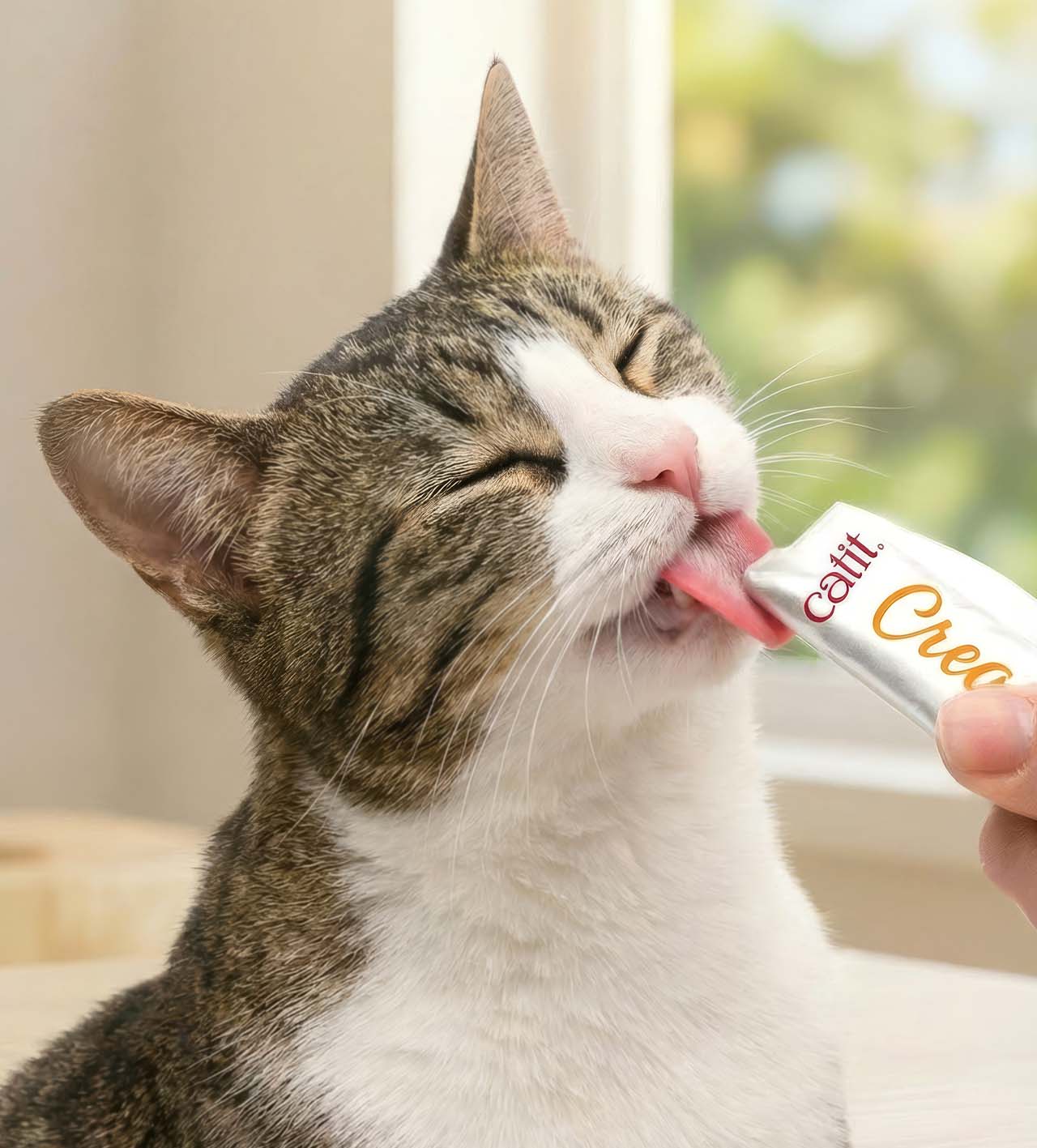 A tabby and white cat happily licking a Catit Creamy treat from a tube held by a person