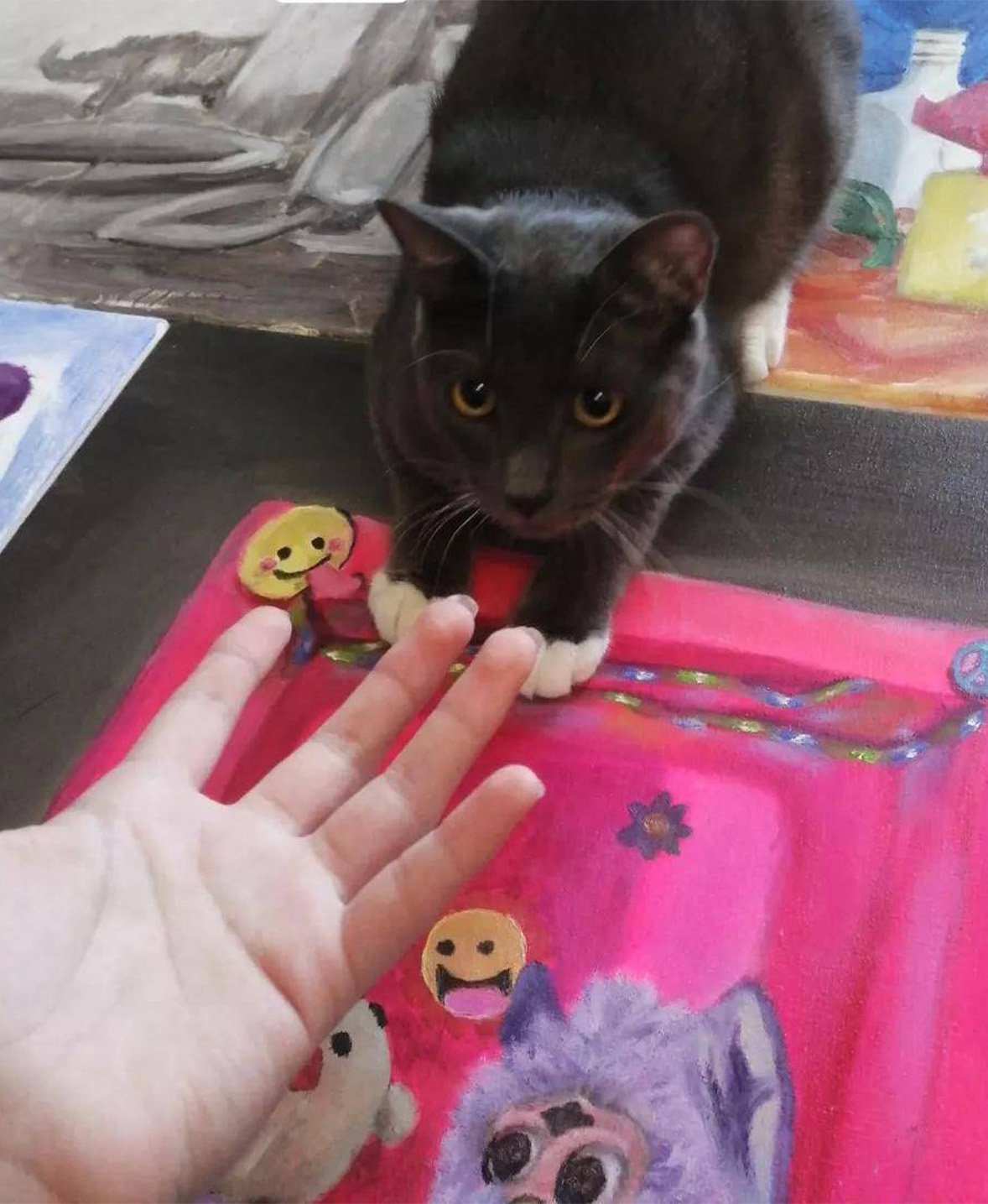 Gaspi, ein dunkelgrauer Kater mit weißen Söckchen, liegt auf mehreren Kunstwerken