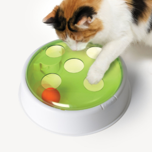 Calico cat with Catit Senses Bouncy Ball Dome