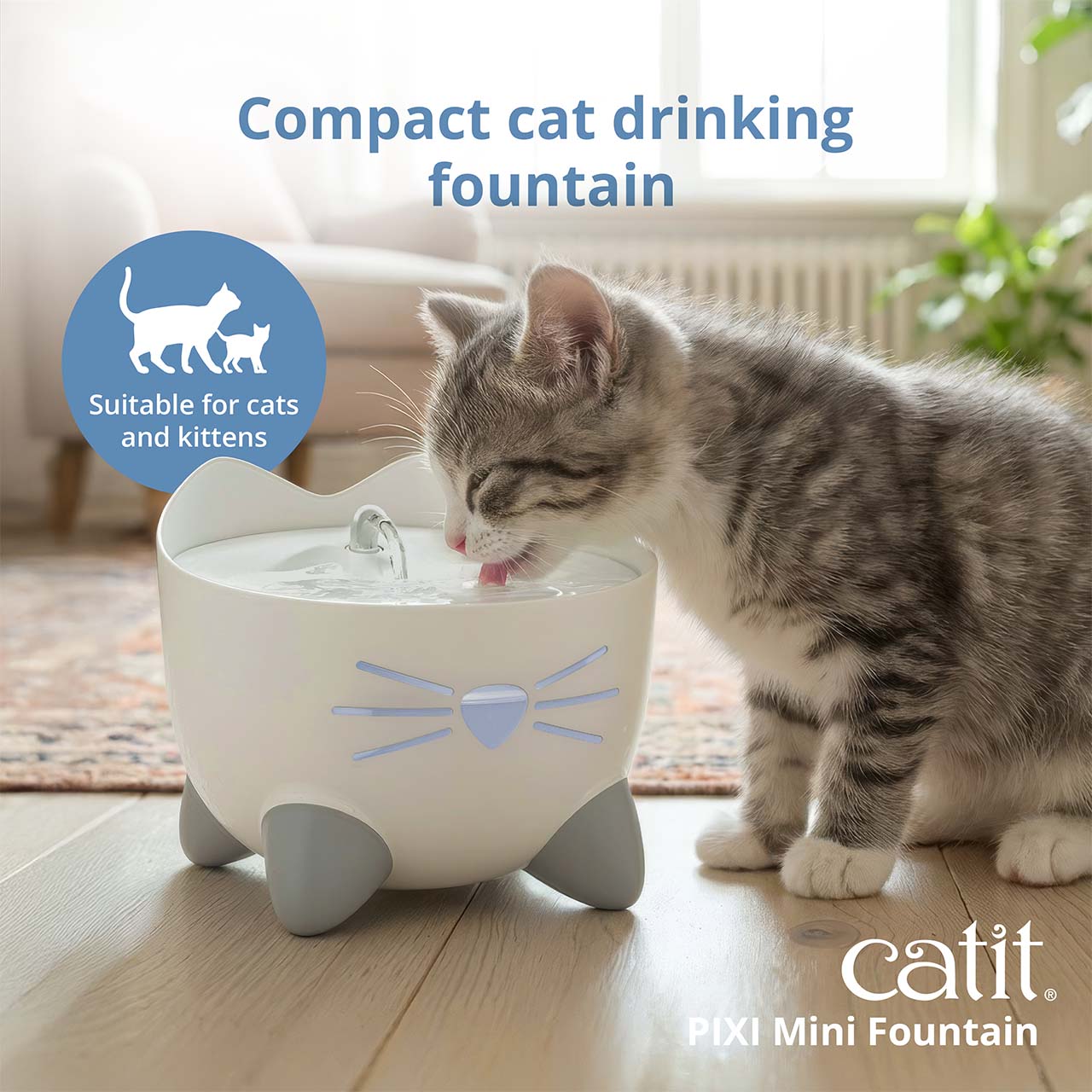 Compact cat drinking fountain. Grey kitten drinking from PIXI Mini Drinking Fountain on wooden floor in living room