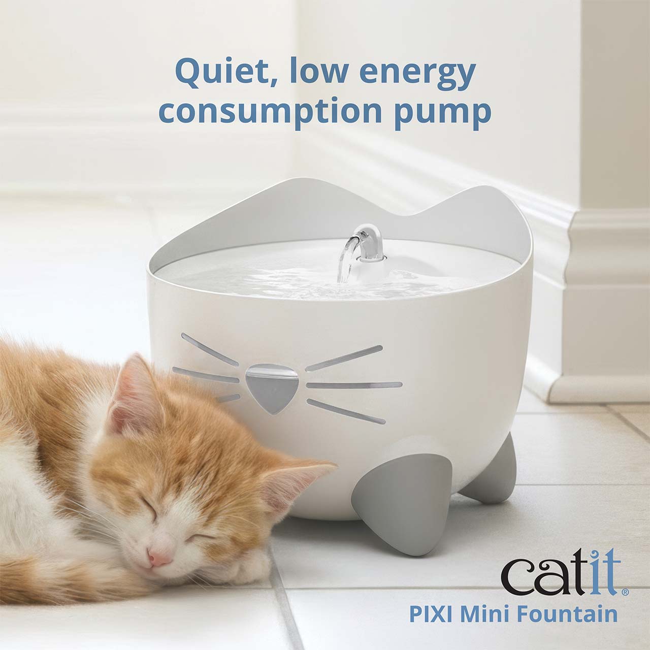 Quiet, low energy consumption pump. Kitten sleeping on floor next to PIXI Mini Fountain