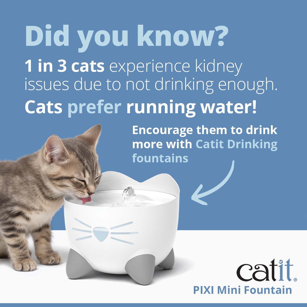 Did you know? 1 in 3 cats experience kidney issues due to not drinking enough.
Cats prefer running water! Small grey kitten drinking from PIXI Mini Fountain