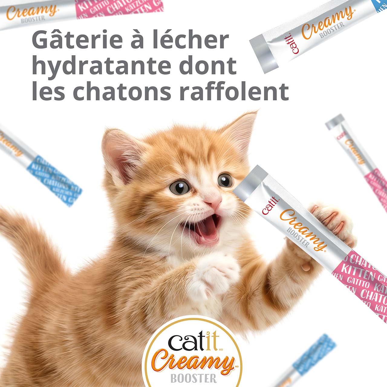 Chaton roux sautant dans les airs vers des tubes de gâterie Catit Creamy Booster pour chatons