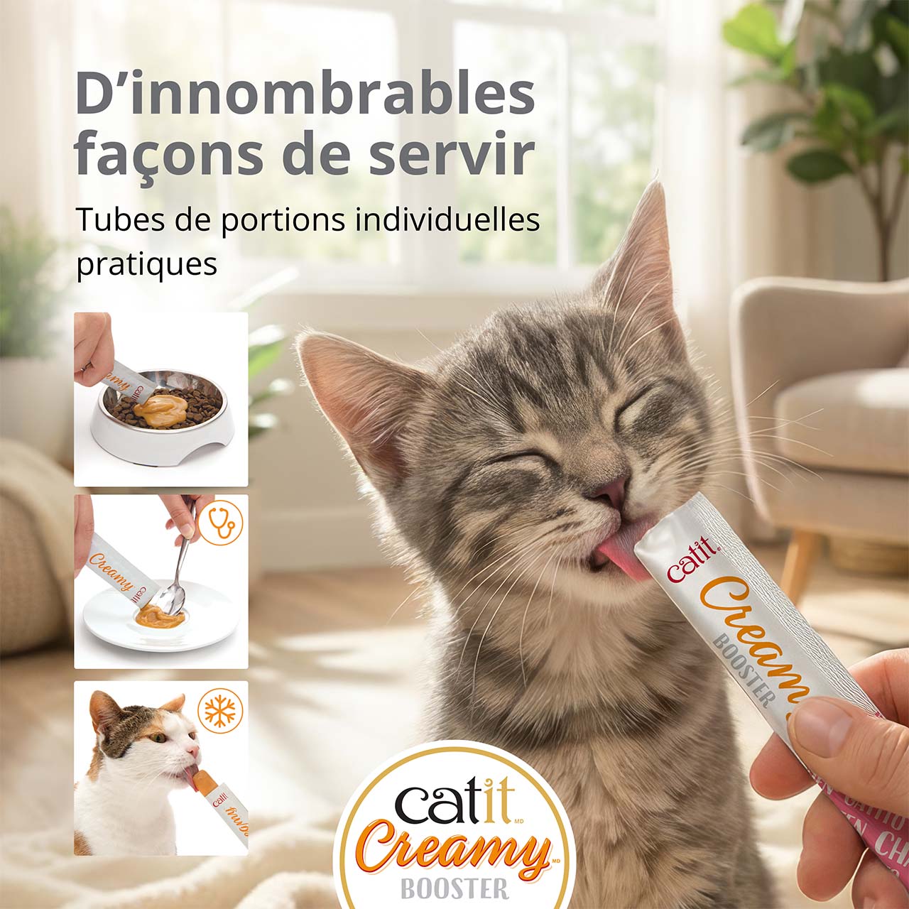 Petit chaton gris mangeant une gâterie Catit Creamy Booster pour chatons dans un salon