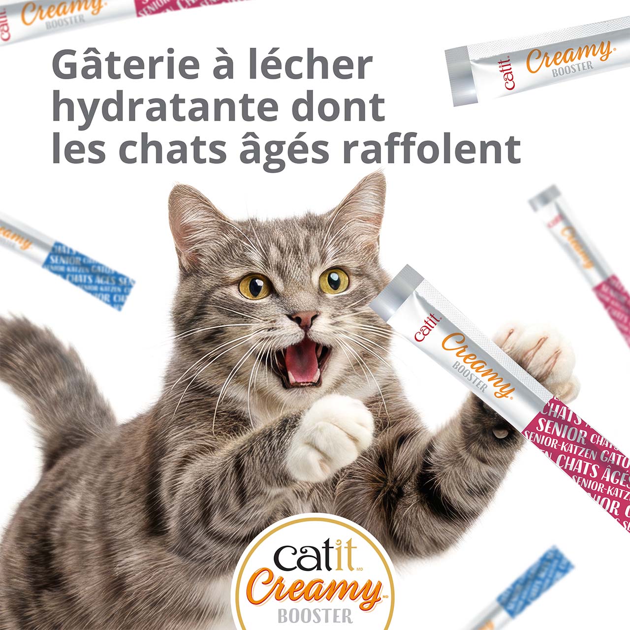 Chat gris sautant dans les airs vers des tubes de gâterie Catit Creamy Booster pour chats âgés
