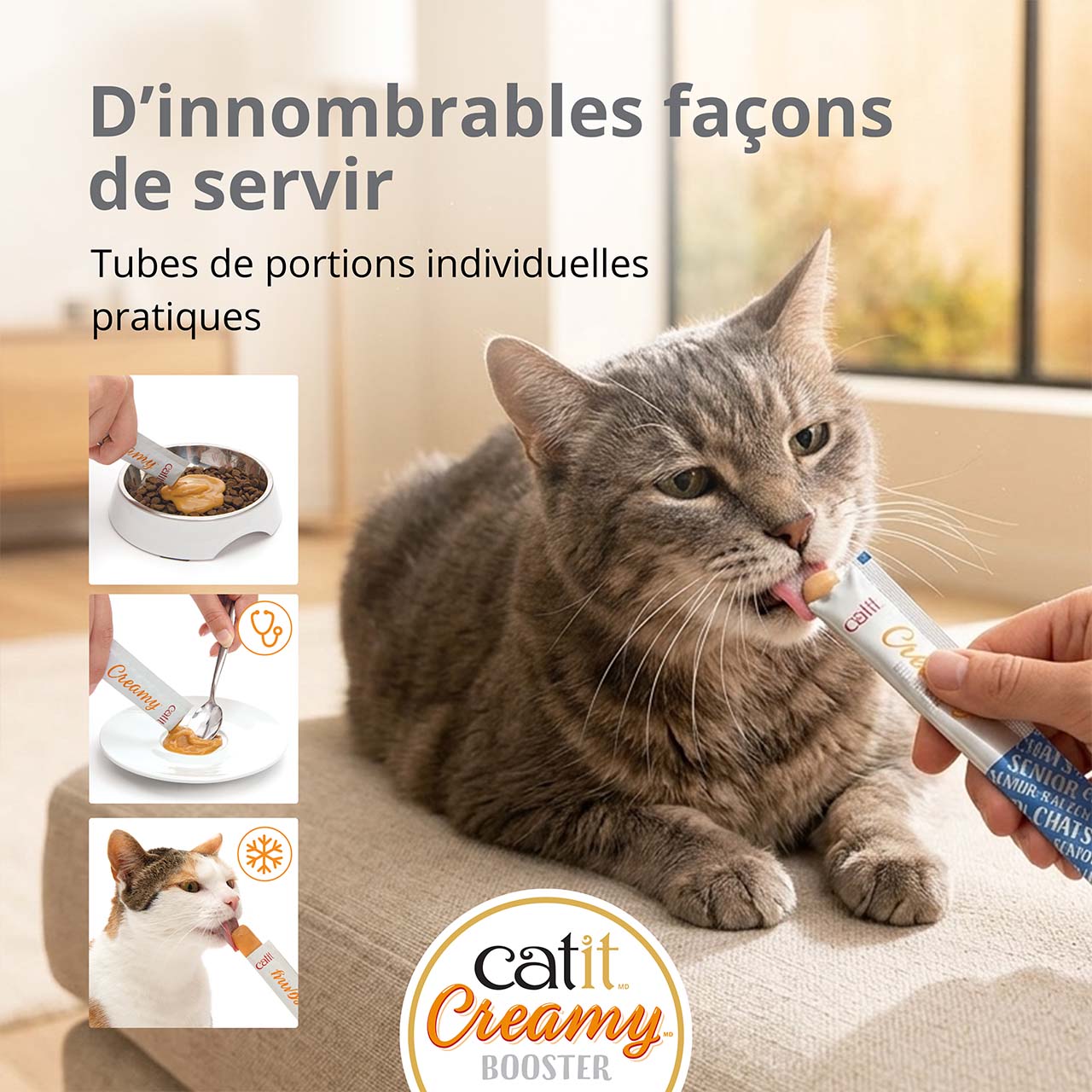 Chat gris mangeant une gâterie Catit Creamy Booster pour chats âgés dans un salon
