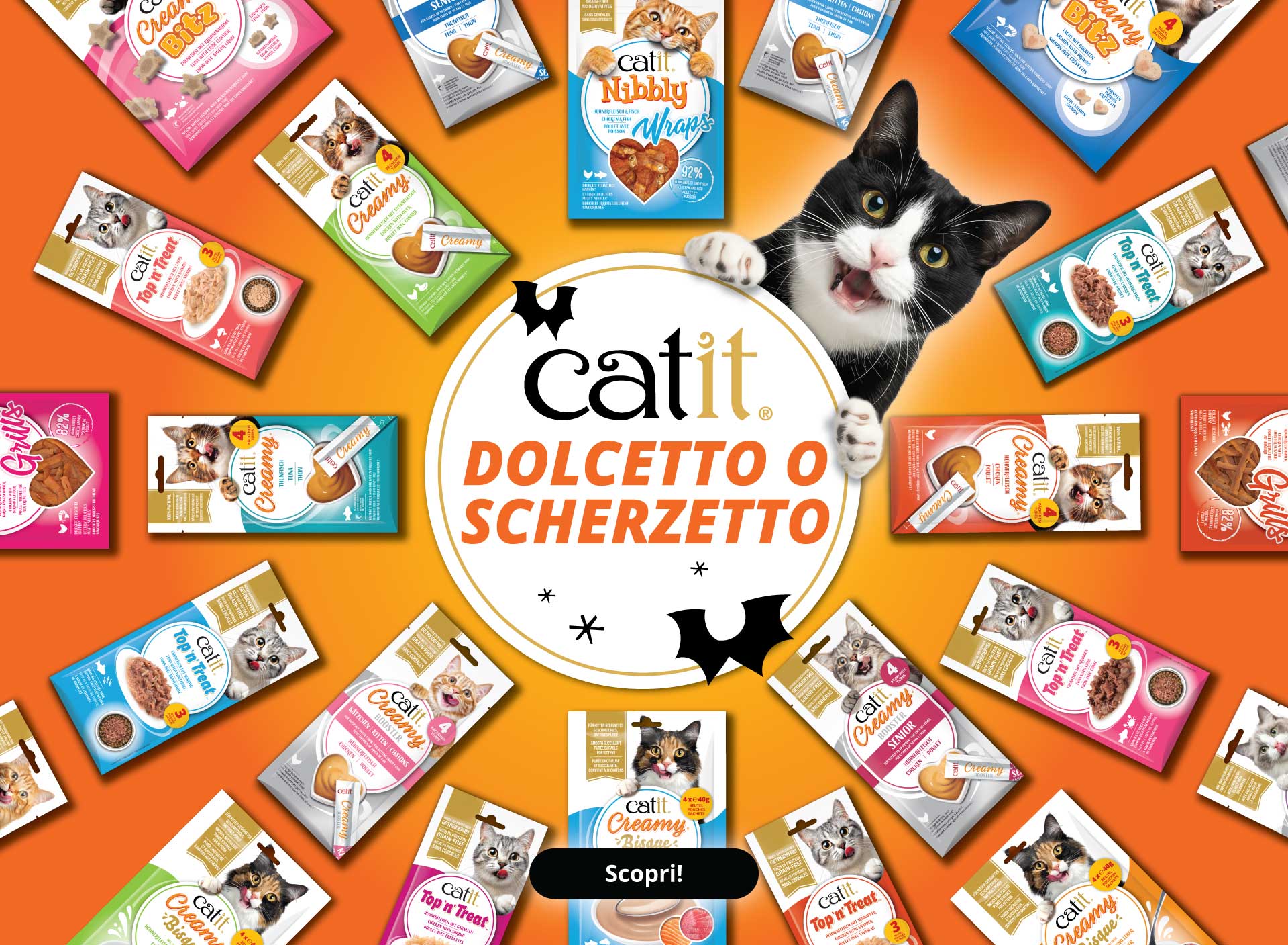 Dolcetto o Scherzetto - Scopri - Cerchio con tutti i bocconcini per gatti Catit