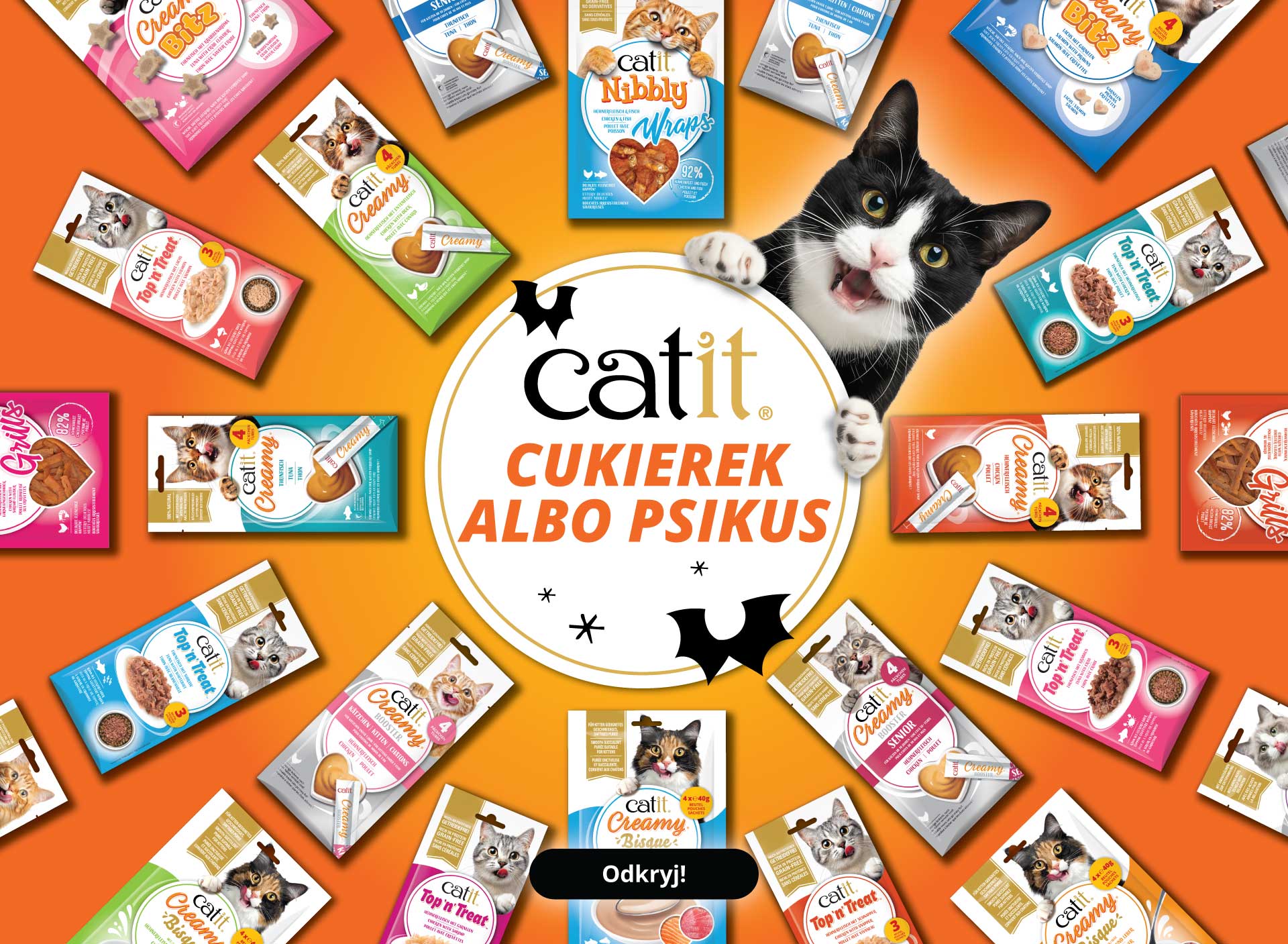 Cukierek albo psikus – Odkryj – Wszystkie przysmaki dla kotów marki Catit ułożone w kręgu wokół kota