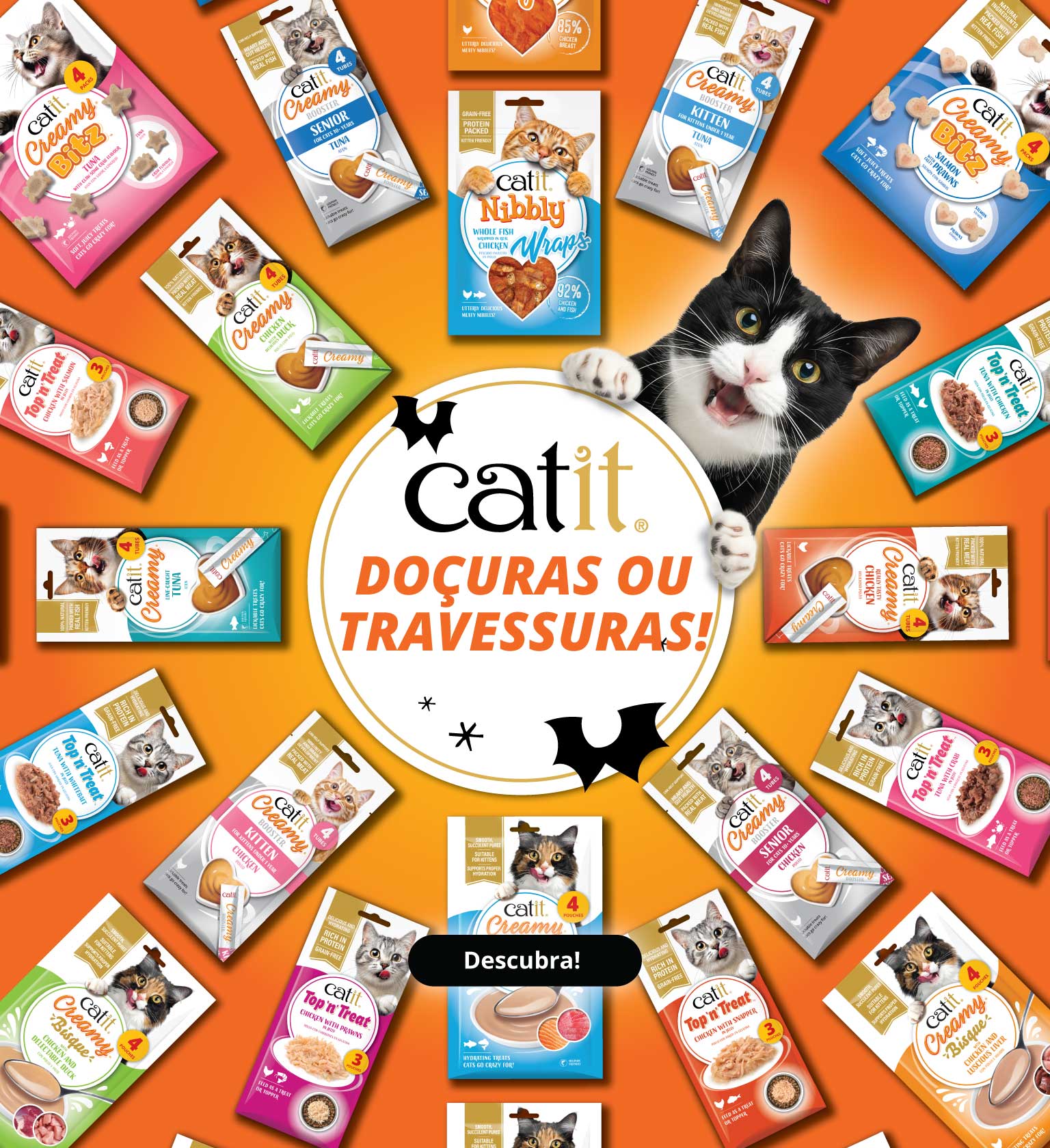Doçuras ou travessuras - Descubra - Todos os petiscos para gatos da Catit dispostos em círculo à volta do gato