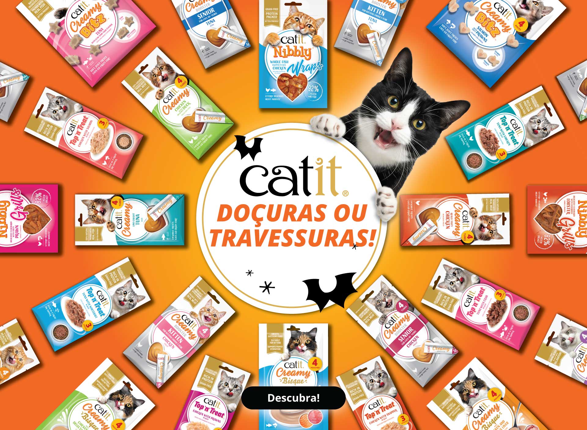 Doçuras ou travessuras - Descubra - Todos os petiscos para gatos da Catit dispostos em círculo à volta do gato