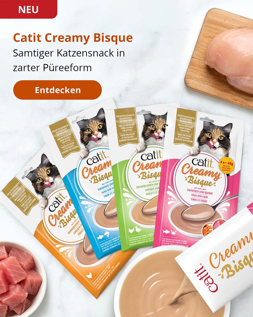Jetzt neu: Catit Creamy Bisque
Samtiger Katzensnack in zarter Püreeform