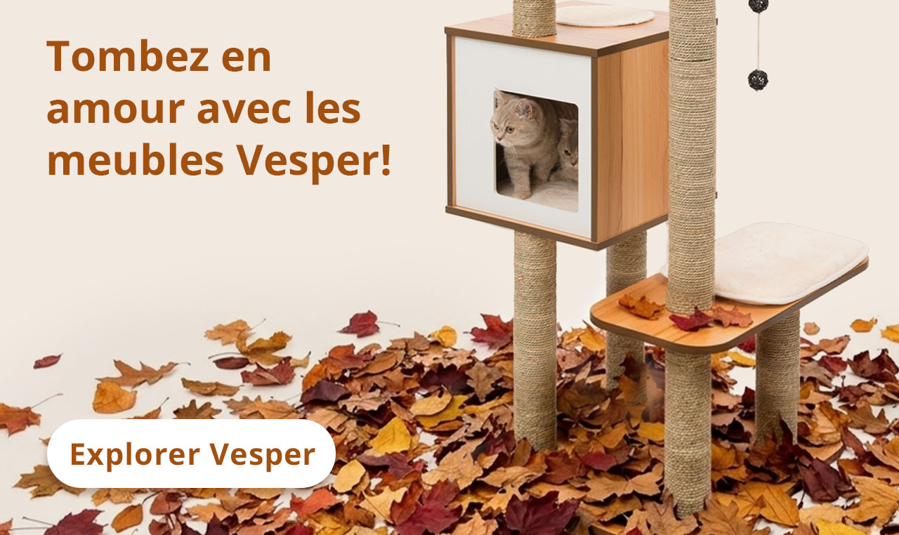 Tombez en amour avec les meubles Vesper! — Arbre à chat Vesper Base, avec des feuilles au sol tout autour, et un chat dans l’arbre à chat qui regarde autour de lui sur un fond beige.