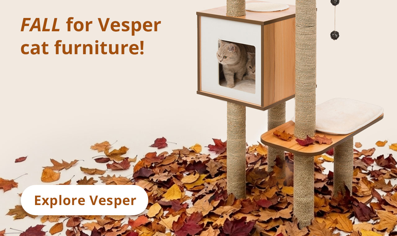 FALL for vesper cat furniture! - Vesper base cat tree with leaves on the ground around it, cat in cat tree looking around with beige background