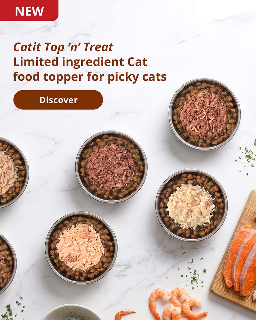 Catit Top ‘n’ Treat
Limited ingredient Cat food topper for picky cats. Top 'n' treat plates spread on marble countertop.