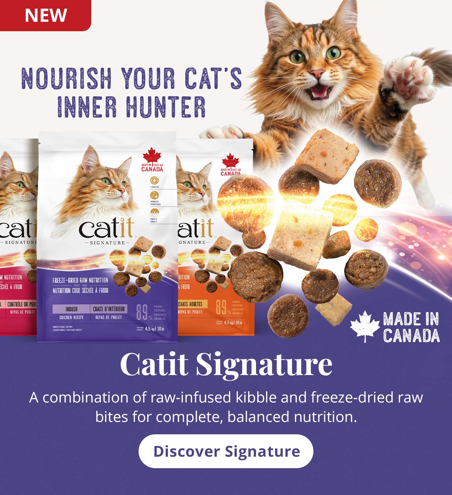 Catit Signature - Nourish your cat's inner hunter