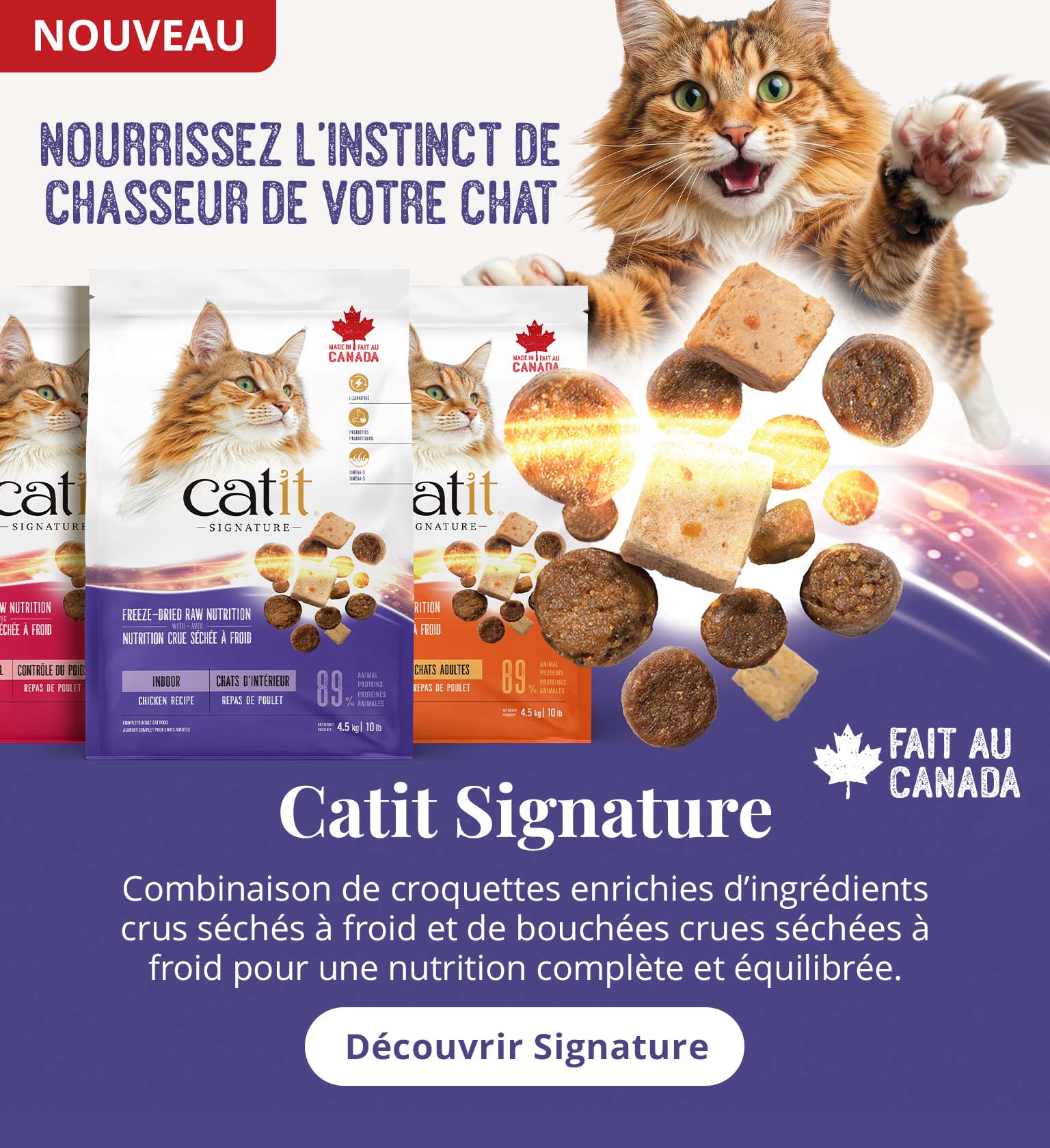Catit Signature – Nourrissez l’instinct de chasseur de votre chat