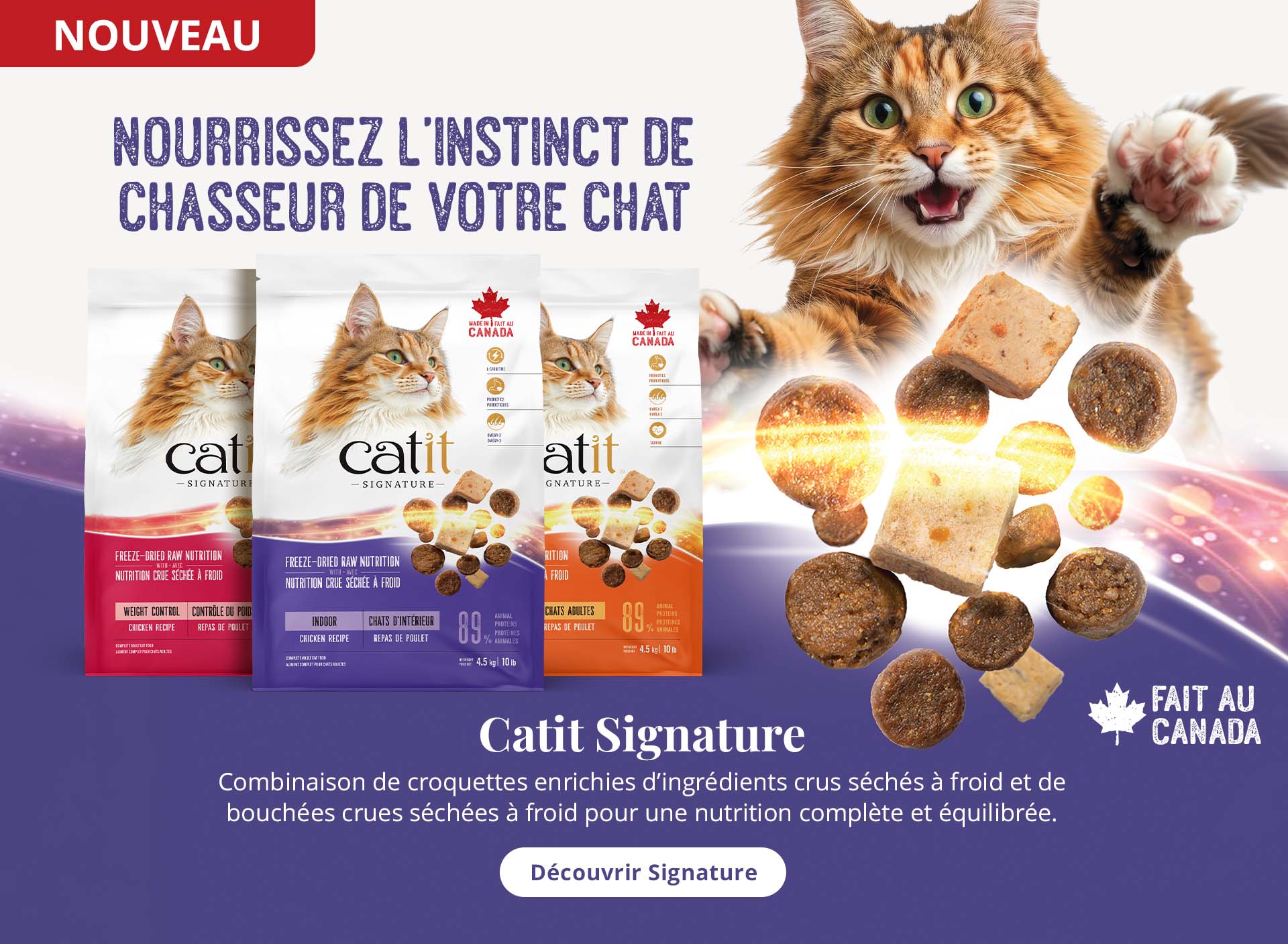 Catit Signature – Nourrissez l’instinct de chasseur de votre chat