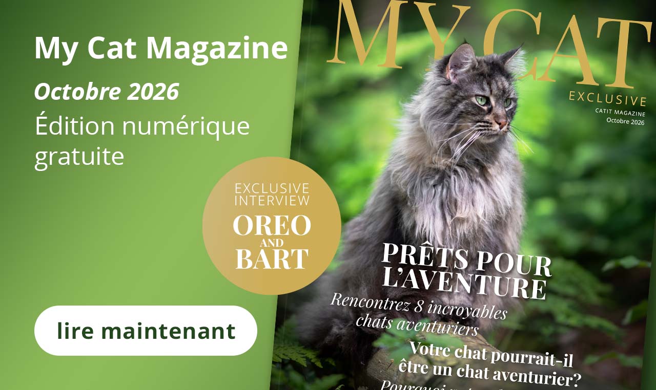 Magazine My Cat - Octobre 2026