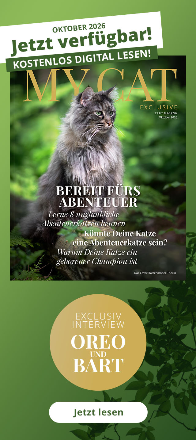 My Cat Magazin - Oktober 2026