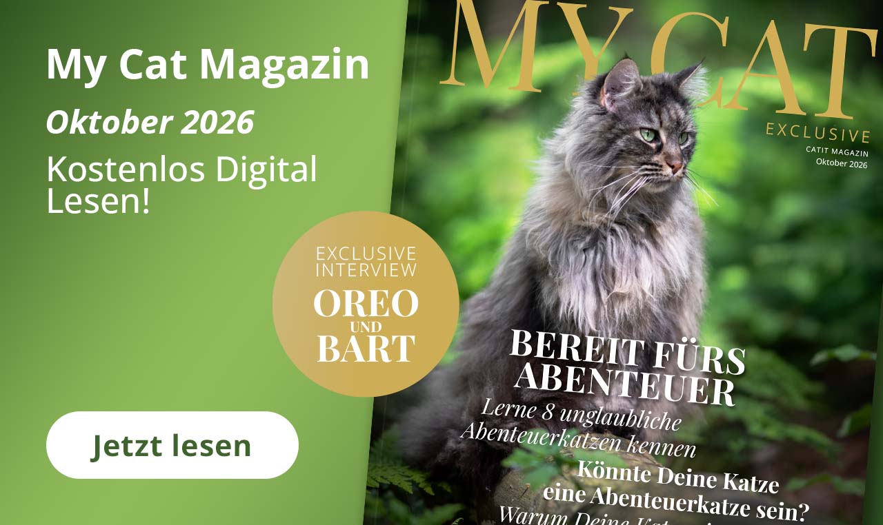 My Cat Magazin - Oktober 2026