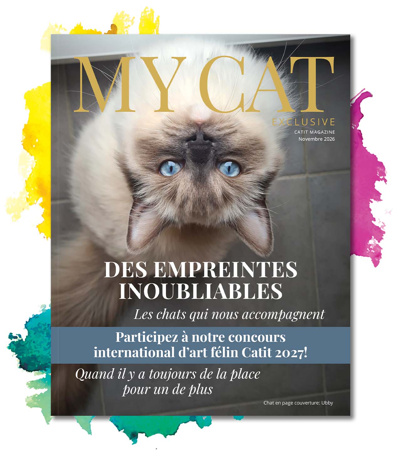 Le numéro de novembre de My Cat Magazine sur un fond blanc avec des éclaboussures de peinture en arrière-plan.