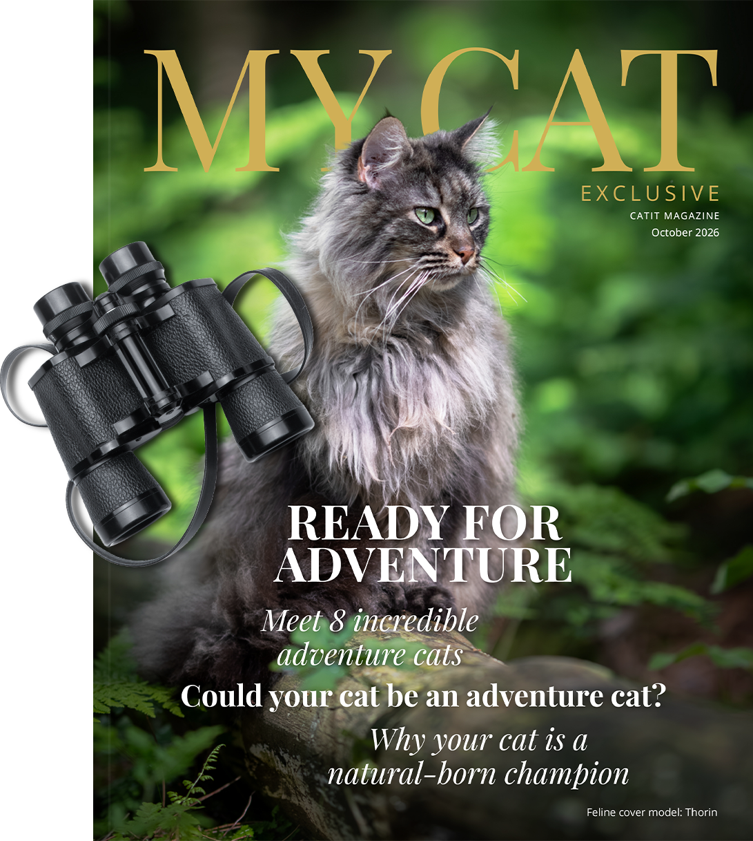 My Cat エクスクルーシブ - Catit マガジン