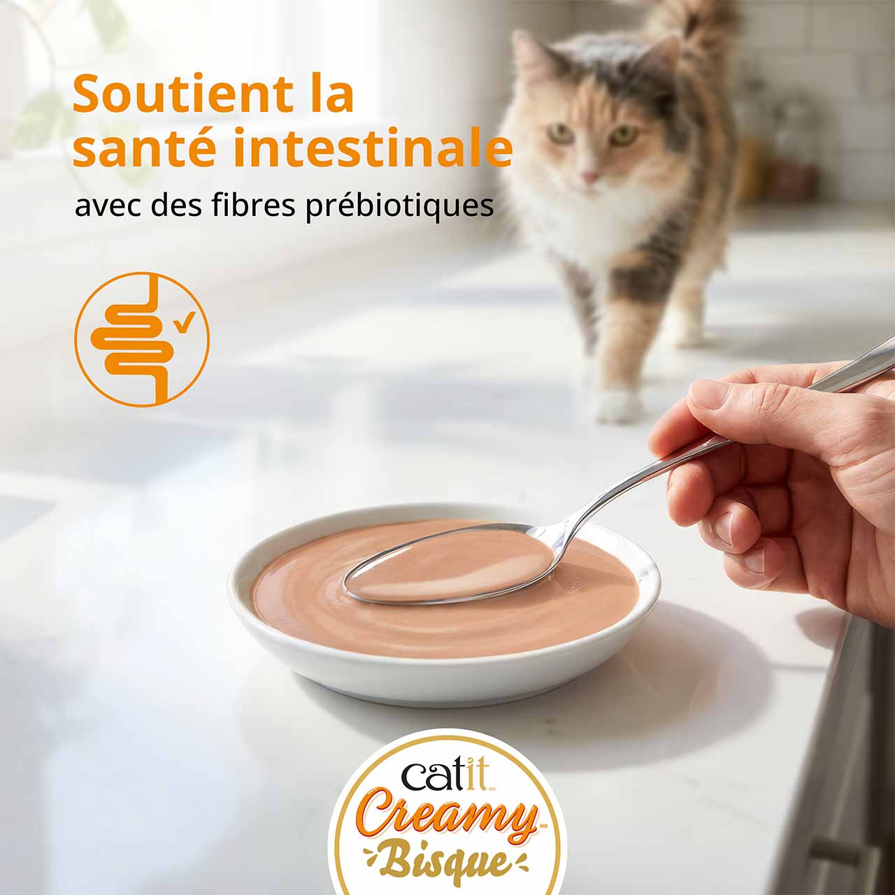 Chat se dirigeant vers une assiette de bisque Catit Creamy sur un comptoir; tandis qu’une main remplit l’assiette à l’aide d’une cuillère
