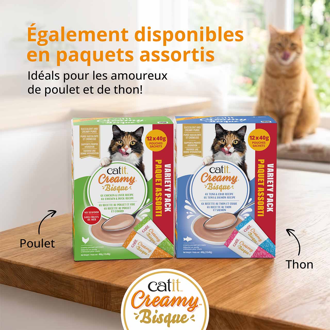Assortiments de bisques Catit Creamy sur un comptoir de cuisine en bois, avec à l’arrière-plan un chat roux qui se lèche les babines
