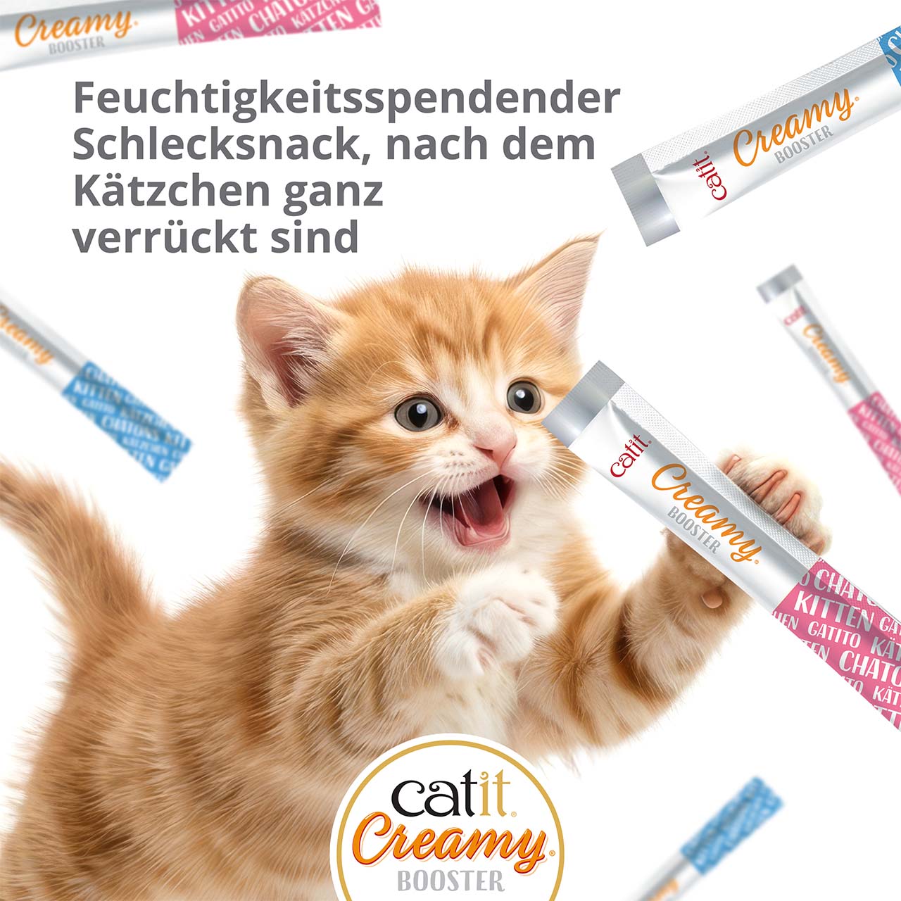 Ein rotes Kitten springt nach Tuben mit Catit Creamy Kitten.